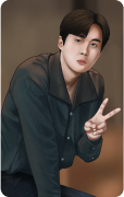 Kim Seon-ho Illustration